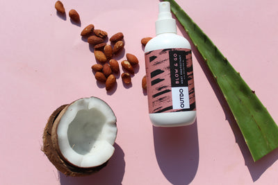 Blow & Go - Anti Humidity Spray